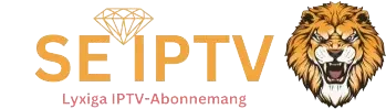 iptv abonnemang - SEIPTV - köpa iptv - bästa iptv - iptv sverige - iptv leverantörer